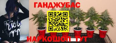 ПСИЛОЦИБИНОВЫЕ ГРИБЫ Туймазы