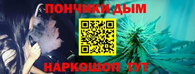шишки Тулун