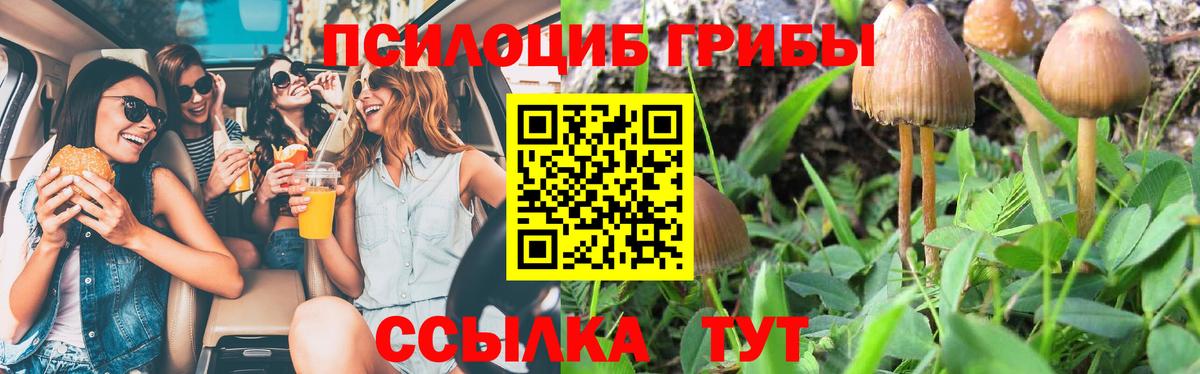 Галлюциногенные грибы мухоморы Сочи