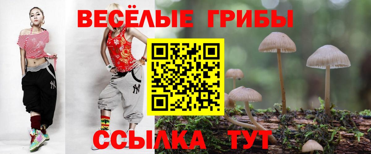 Сочи  закладка  Вход с VPN  Галлюциногенные грибы Psilocybe 